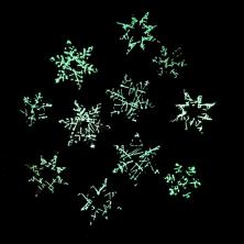 Декор дерево 