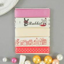 Набор лент ассорти 13/16/20мм арт.ФУ-9247 (5цв*1м)