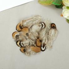 Перо фазана  3,5-10см арт.SF-2029 бежевый/микс