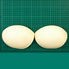 Чашечки овал с PUSH-UP арт.B-438 р.90 (12пар)