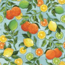 Ткань для пэчворка 60*110см Peppy Citrus Grove Panel 25487 BLU1 арт.4549