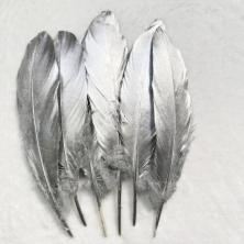 Перо утиное металлик 14,5см арт.ФУ-10532