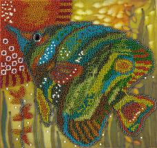 BN/БН-5010 "Зеленая рыбка" Набор для вышивания бисером PANNA 20*20см