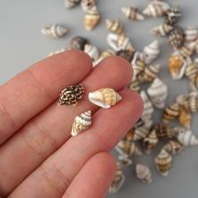 Ракушки 10-15мм ассорти арт.D20-29 01-натуральный (20гр)