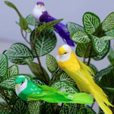 Птичка на зажиме 15*3см арт.7521556 микс