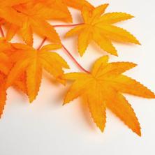 Листья на ветке "Клен" 50*70см арт.5274850 оранжевый