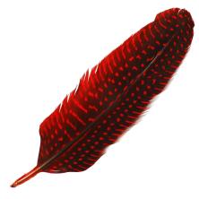 Перо утиное 15-20см арт.520