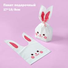 Пакет п/э подарочный 