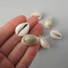 Ракушки 10-20мм ассорти арт.D20-31 01-натуральный (20гр)