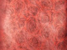 Фетр 50см*1м арт.KND