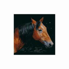 1-18 "Альтаир" Набор для вышивания мулине "Алиса" 30*30см