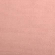 Кардсток для скрапбукинга 30,5*30,5см 216гр/м арт.PST (1лист)