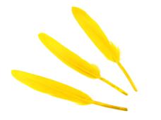 Перо утиное 10см арт.ФУ-10909