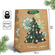 Пакет крафт 18*23*10см "С Новым годом" арт.10365482
