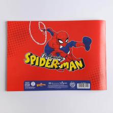 Альбом для рисования 28*20см 