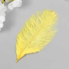 Перо страуса 15-20см арт.9604831 св.желтый