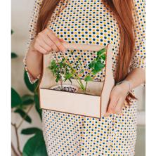 Ящик "Кашпо" с ручкой 20*12,5*20см арт.1490745