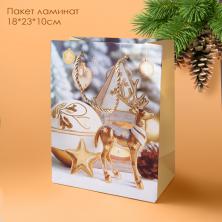 Пакет ламинат 18*23*10см 