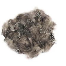 Перо цесарки 4-6см арт.PLU-08 03-натуральный (3гр)