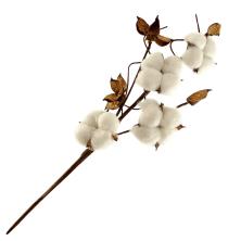 Ветка "Хлопок натуральный" 50см арт.CTW-03