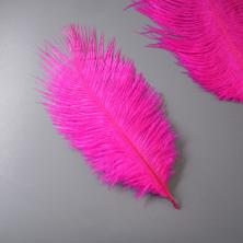 Перо страуса 15-20см арт.ИВ-435 фуксия