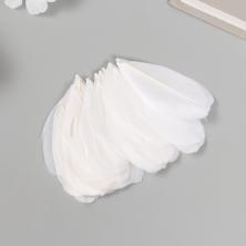 Перо гусиное  3,5-7см арт.9604796 белый (20шт)