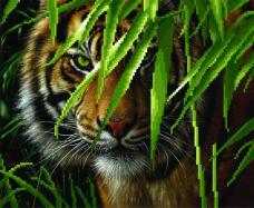 Г-037 "Тигр" Рисунок на ткани "М.П.Студия" 35*40см