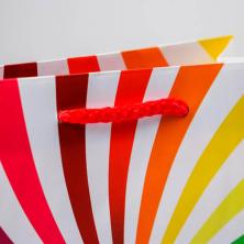 Пакет ламинат 23*18*8см 