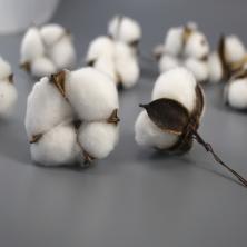 Хлопок натуральный на проволоке 5*5см 6см арт.102301