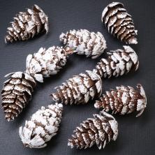 Набор шишек пластик в снегу 4*2см арт.65485 (10шт)