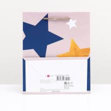 Пакет ламинат 22*18*10см 