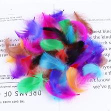 Перо гусиное 7-12см арт.ИВ-268 яркий микс-1 (100шт)