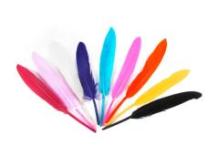 Перо утиное 10см арт.ФУ-10909 ассорти