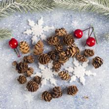 Набор для декора "Шишки со снежинками" арт.3608267 (20гр)