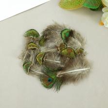 Перо фазана 6-8см арт.SF-2027 бежевый/зеленый