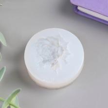 Молд силикон 