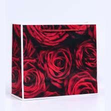 Пакет ламинат с окном 