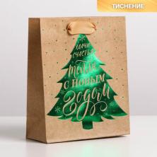 Пакет крафт 15*12*5,5см 