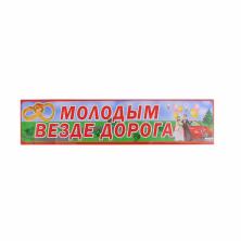 Наклейка на номер "Молодым везде дорога" 11*47см арт.510175