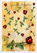 Бумага рисовая 32*45см арт.IRP