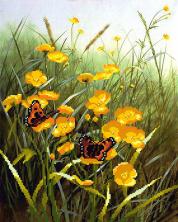 Г-009 "Лютики" Рисунок на ткани "М.П.Студия" 50*40см