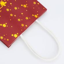 Пакет крафт 