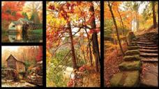 Ткань Peppy 60*110см 4540 Fallscapes Panel 25441 MUL1