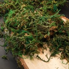 Мох декоративный арт.ФУ-10907 натуральный зеленый (50гр)