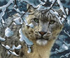 Рисунок на ткани бисером "М.П.Студия" "Снежный барс" 35*40см арт.Г-034