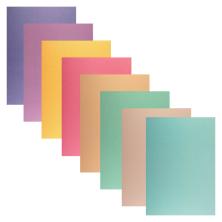 Бумага 20*30см 216гр/м арт.SPF1603 ассорти (8шт)