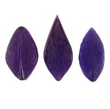 Молд пластик 02 