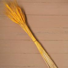 Ветка сухоцвет 