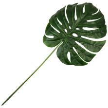 Лист на ветке 