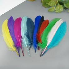 Перо гусиное 13-18см арт.ФУ-10908 ассорти
